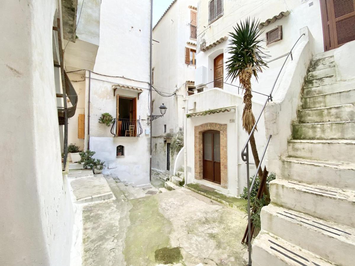 Holidaycasa Jerry สแปร์ลองกา ภายนอก รูปภาพ